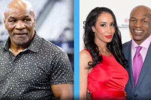 Sol Xochitl Exploring the Beauty, Culture, and Symbolism of the Sun Flower